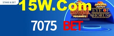 Premium Interface 7075 Bet